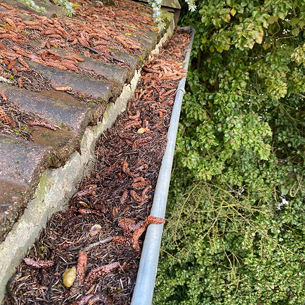 Before image